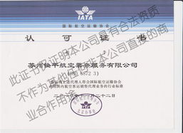 邵阳机票加盟代理价格 邵阳机票加盟代理型号规格